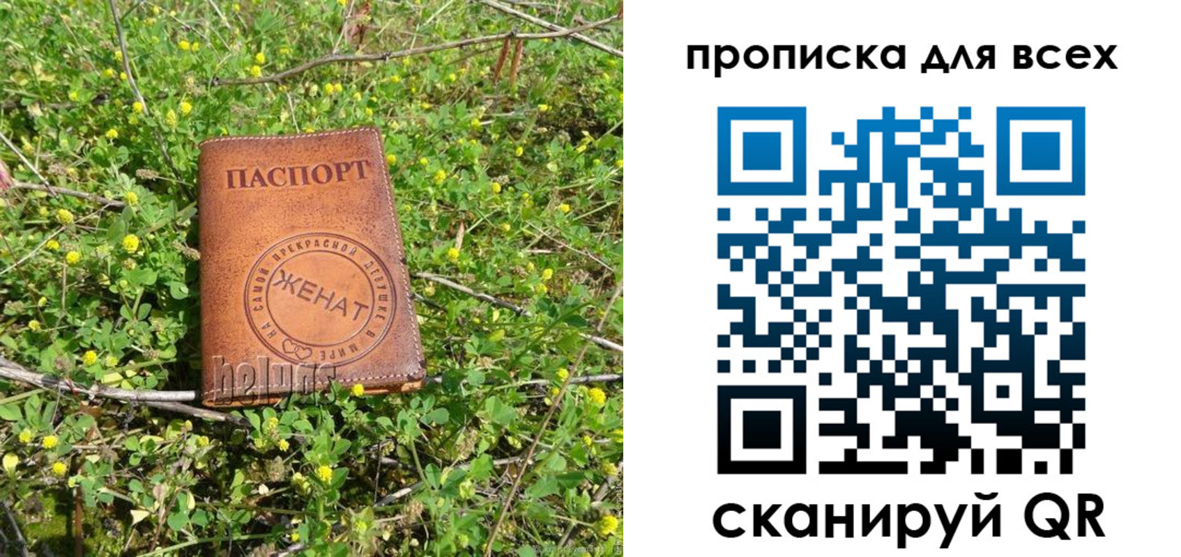 прописка поиск в Татарстане